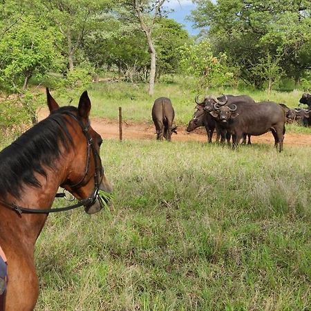 Villa Wild Ride Safaris And Bush Camp Hoedspruit Exterior foto