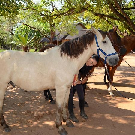 Villa Wild Ride Safaris And Bush Camp Hoedspruit Exterior foto