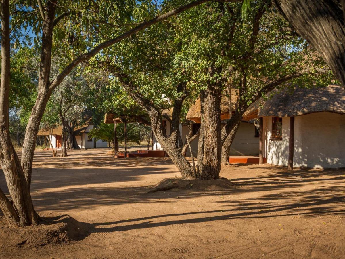 Villa Wild Ride Safaris And Bush Camp Hoedspruit Exterior foto