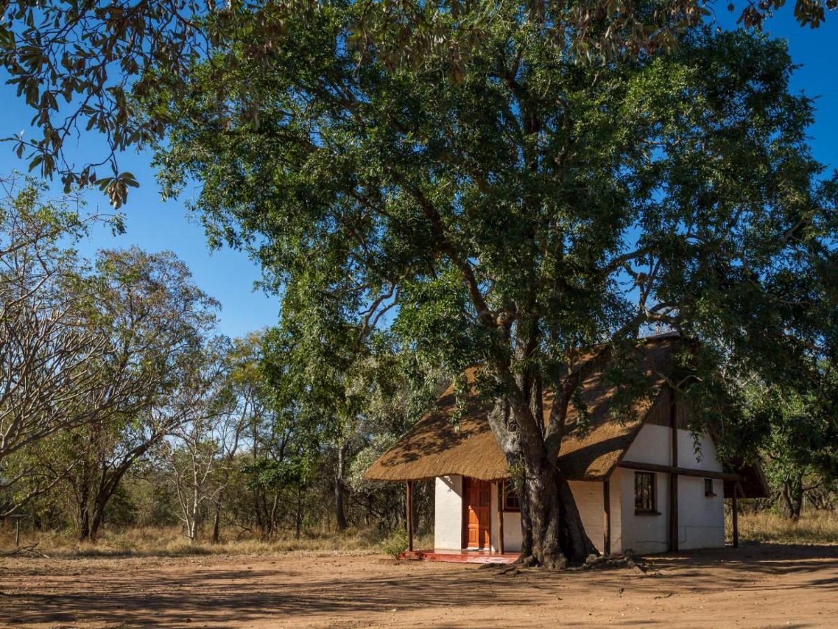Villa Wild Ride Safaris And Bush Camp Hoedspruit Exterior foto