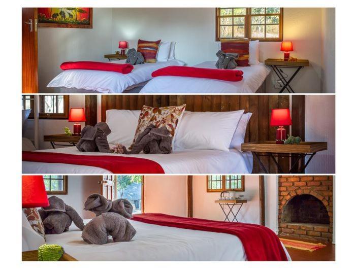 Villa Wild Ride Safaris And Bush Camp Hoedspruit Exterior foto