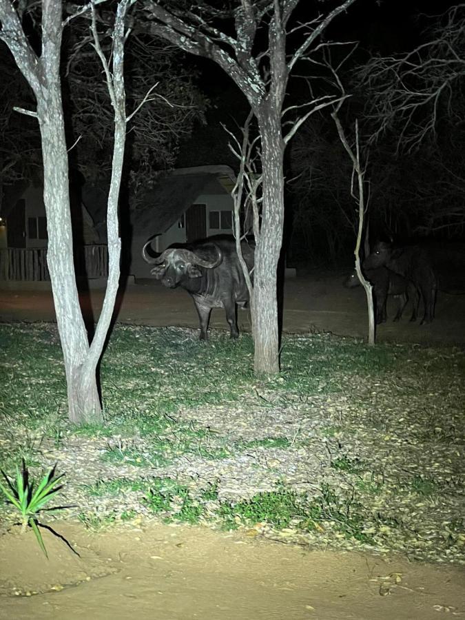 Villa Wild Ride Safaris And Bush Camp Hoedspruit Exterior foto