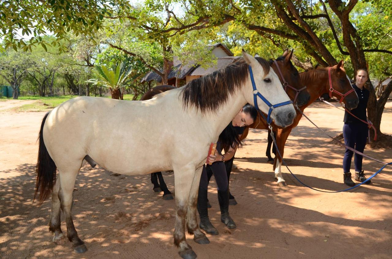 Villa Wild Ride Safaris And Bush Camp Hoedspruit Exterior foto
