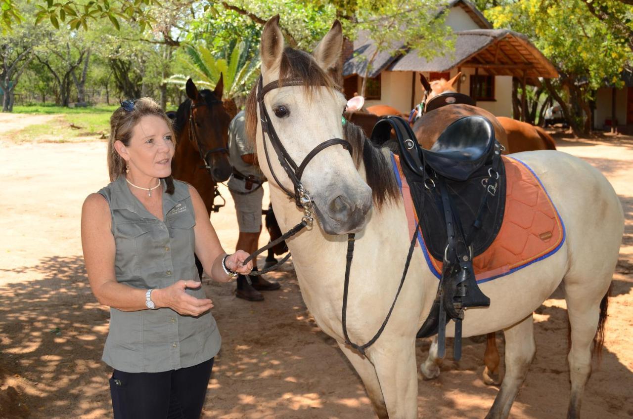 Villa Wild Ride Safaris And Bush Camp Hoedspruit Exterior foto